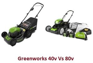 80v 40v greenworks